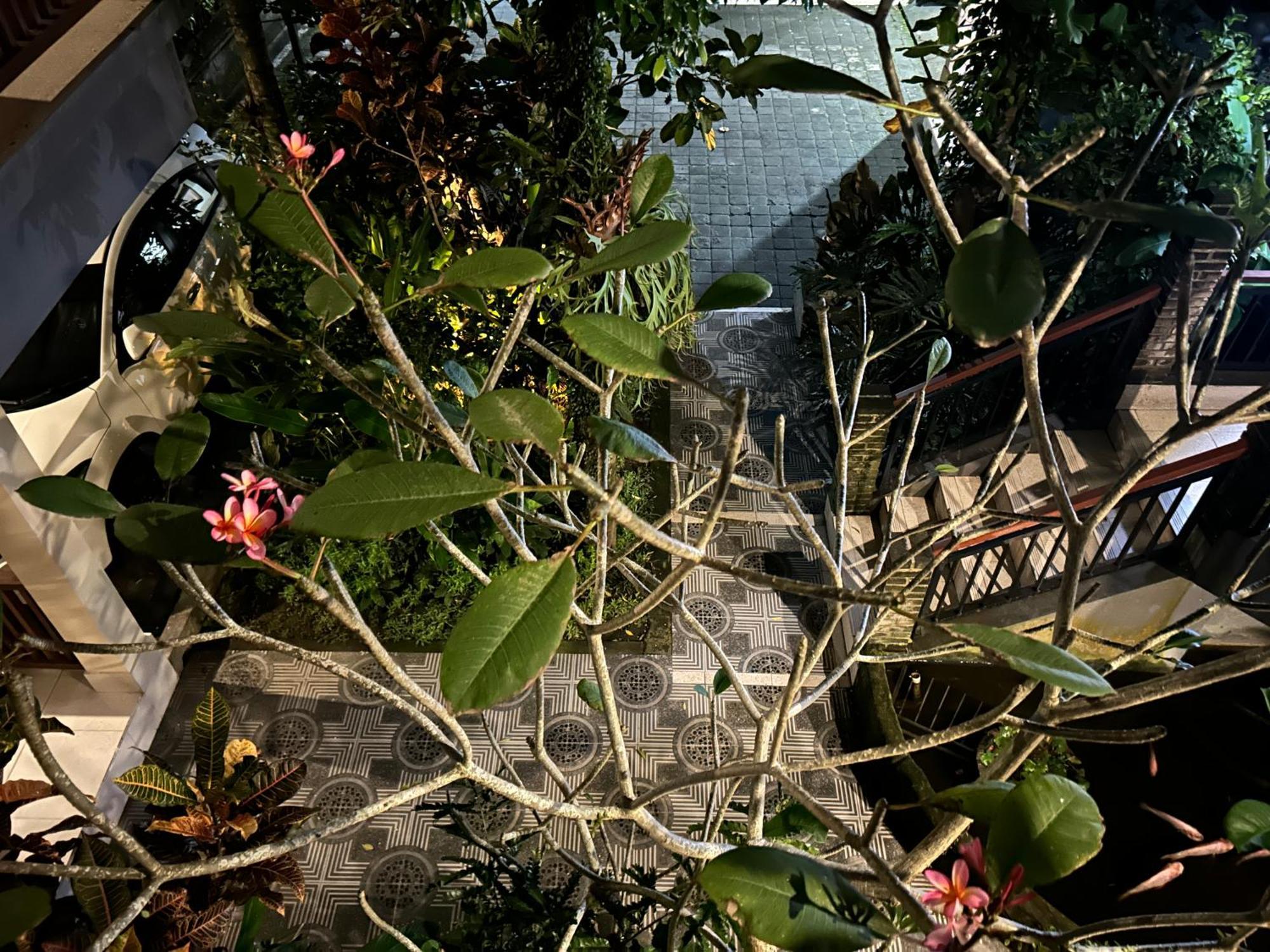 Balimas Guest House Ubud Extérieur photo