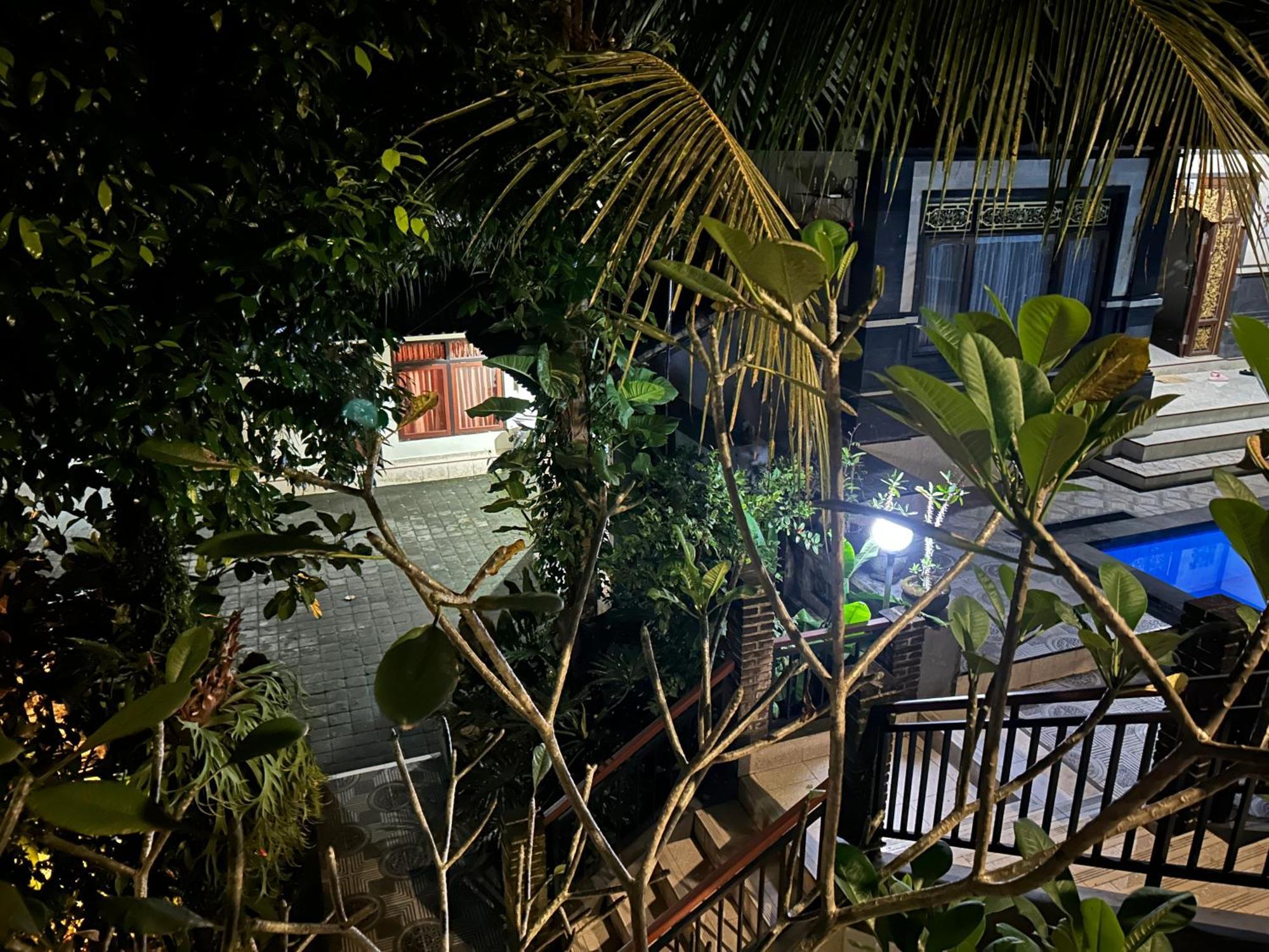 Balimas Guest House Ubud Extérieur photo